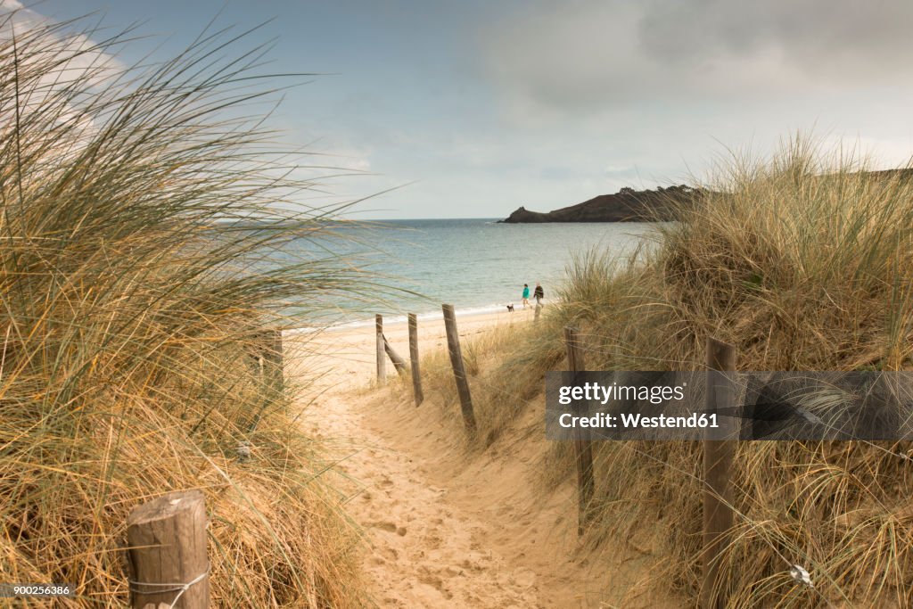 France, Bretagne, view to the sea with walkers on the beach and beach dunes in the foreground