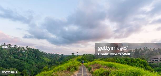 paved path through tropical vegetation, campuhan ridge walk, bukit campuhan, tjampuhans holy hills, ubud, bali, indonesia - campuhan ridge walk stockfoto's en -beelden