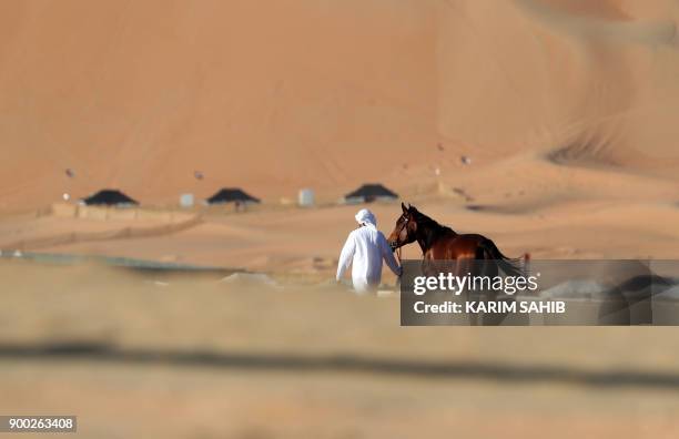 Handler leads a purebred Arab horse ahead of a race for purebred Arab horses during the Liwa 2018 Moreeb Dune Festival on January 1 in the Liwa...
