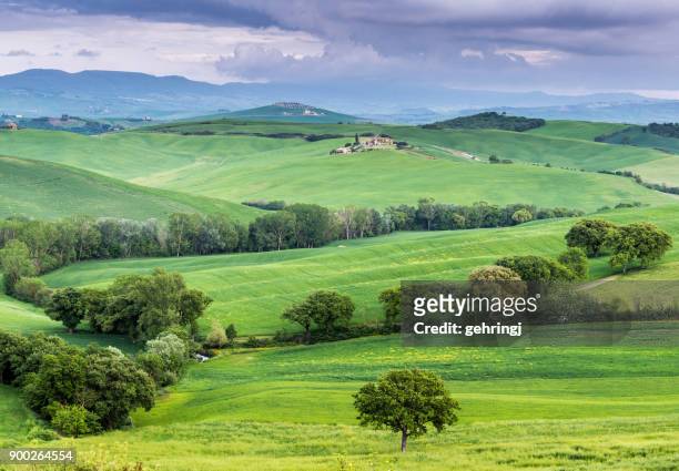 morning landscape of tuscany - capella di vitaleta stock pictures, royalty-free photos & images