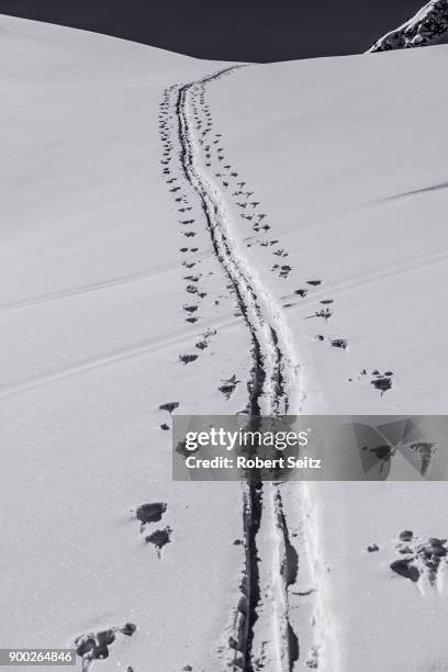 ski tracks in snow, wintry mountains, lechtal alps, tyrol, austria - lechtal alps stockfoto's en -beelden