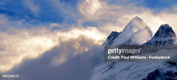 wetterhorn mountain in clouds, swiss alps, switzerland - wetterhorn stock pictures, royalty-free photos & images