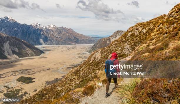 hiker, view into the hooker valley from sealy tarns track, mount cook national park, canterbury region, south island, new zealand - nationalpark mount cook stock-fotos und bilder
