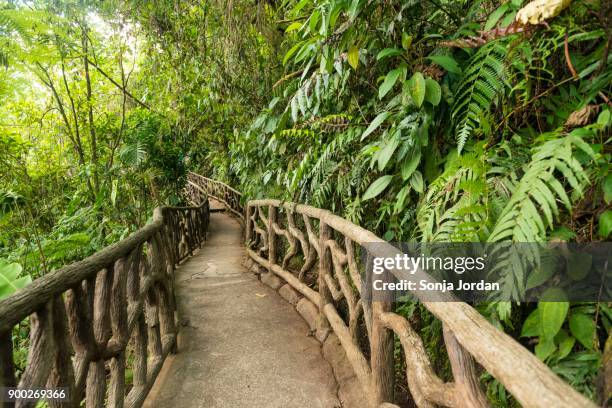 way through dense vegetation, la paz waterfall gardens, conservation area, central valley, costa rica - nuestra senora de la paz stock pictures, royalty-free photos & images