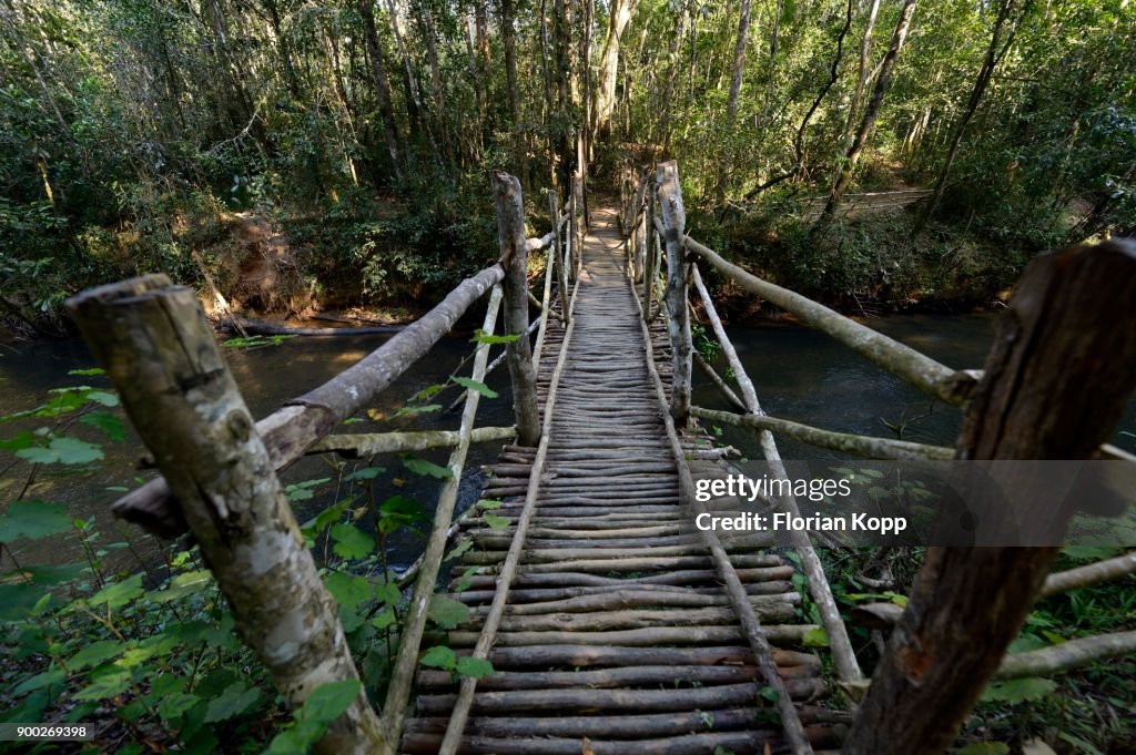 Wooden bridge, V.O.I.M.M.A. reserve, Andasibe National Park, Moramanga, Alaotra-Mangoro region, Madagascar