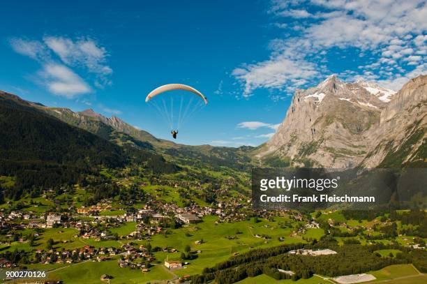 paraglider above grindelwald, mountains in front of wetterhorn and first, bernese oberland, canton of bern, switzerland - wetterhorn stock pictures, royalty-free photos & images