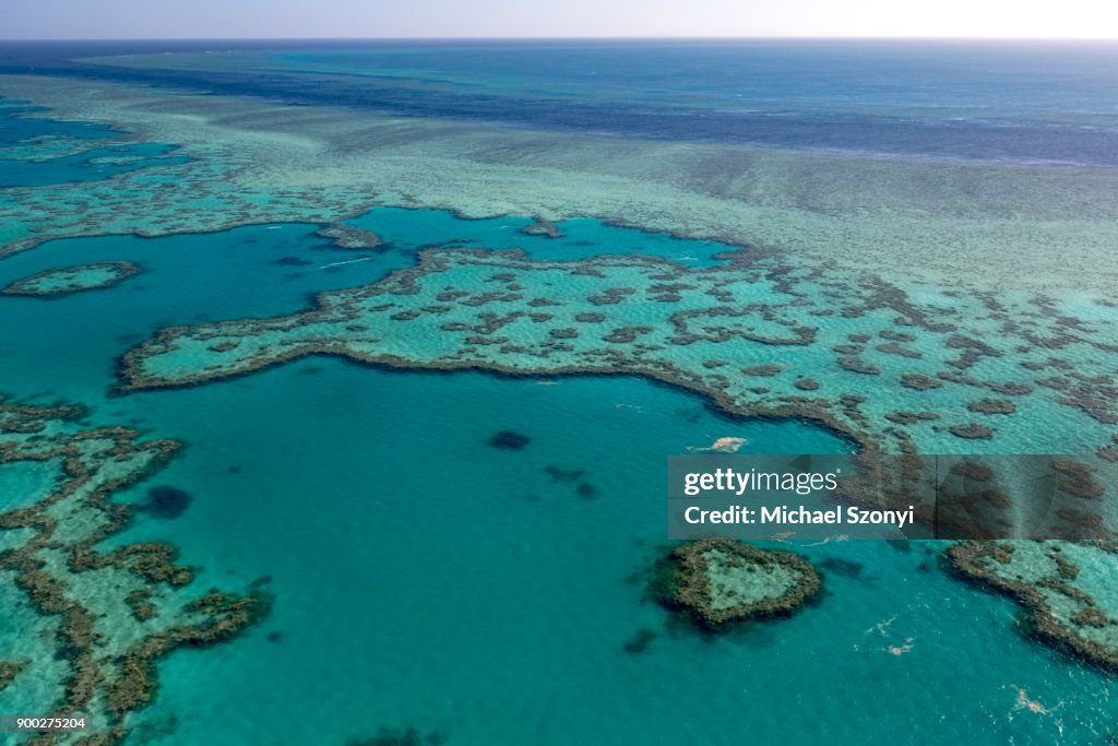 Coral Reef, Heart Reef, part of Hardy Reef, Outer Great Barrier Reef, Queensland