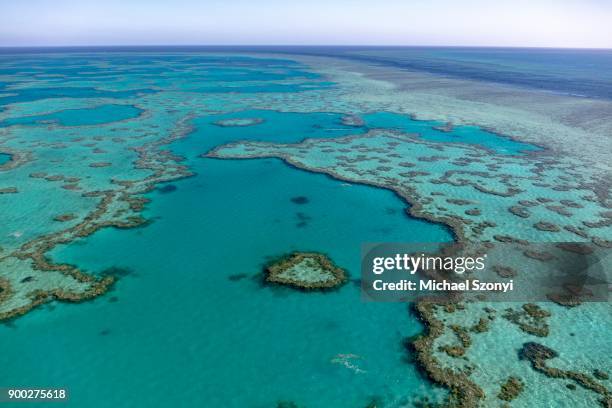 coral reef, heart reef, part of hardy reef, outer great barrier reef, queensland - hardy reef stockfoto's en -beelden