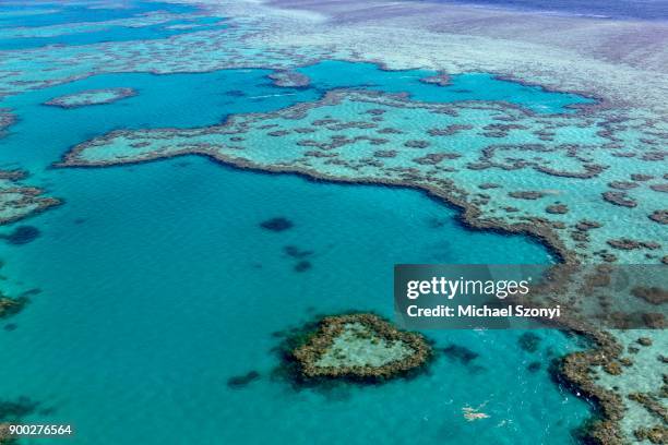 coral reef, heart reef, part of hardy reef, outer great barrier reef, queensland - hardy reef stockfoto's en -beelden