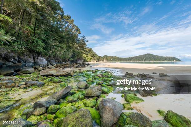 beach, observation beach, abel tasman national park, tasman region, southland, new zealand - abel tasman national park stock pictures, royalty-free photos & images