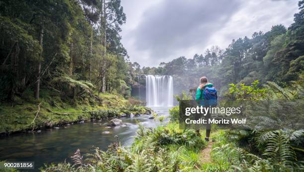 hiker faces waterfall, rainbow falls or waianiwaniwa, kerikeri river, northland, north island, new zealand - ilha do norte da nova zelândia imagens e fotografias de stock