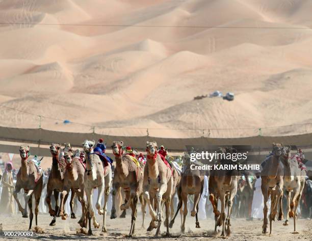 Camels race during the Liwa 2018 Moreeb Dune Festival on January 1 in the Liwa desert, some 250 kilometres west of the Gulf emirate of Abu Dhabi. /...