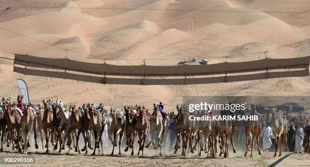 Camels race during the Liwa 2018 Moreeb Dune Festival on January 1 in the Liwa desert, some 250 kilometres west of the Gulf emirate of Abu Dhabi. /...