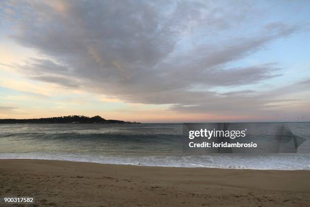 sunrise on the beach with the pacific ocean and point lobos in the distance. - reserva animal estatal imagens e fotografias de stock