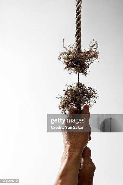 48 Rope Tearing Stock Photos, High-Res Pictures, and Images - Getty Images