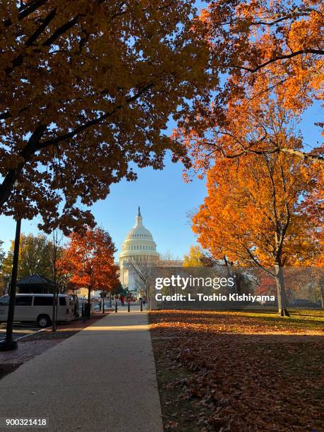 October Dc 12,894 Washington Dc Fall Stock Photos, High-Res Pictures, and Images ...