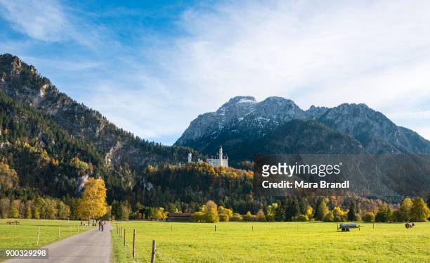 neuschwanstein castle in autumn, schwangau, east allgaeu, allgaeu, swabia, upper bavaria, bavaria, germany - neuschwanstein stock-fotos und bilder
