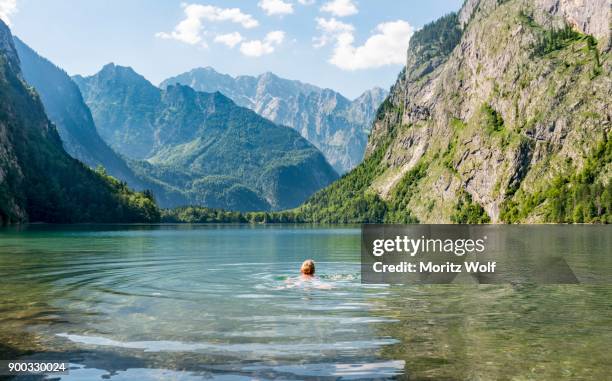 frau bathing in the obersee, behind watzmann, mountain scenery, berchtesgaden alps, national park berchtesgaden, oberbayern, bavaria, germany - frau ストックフォトと画像