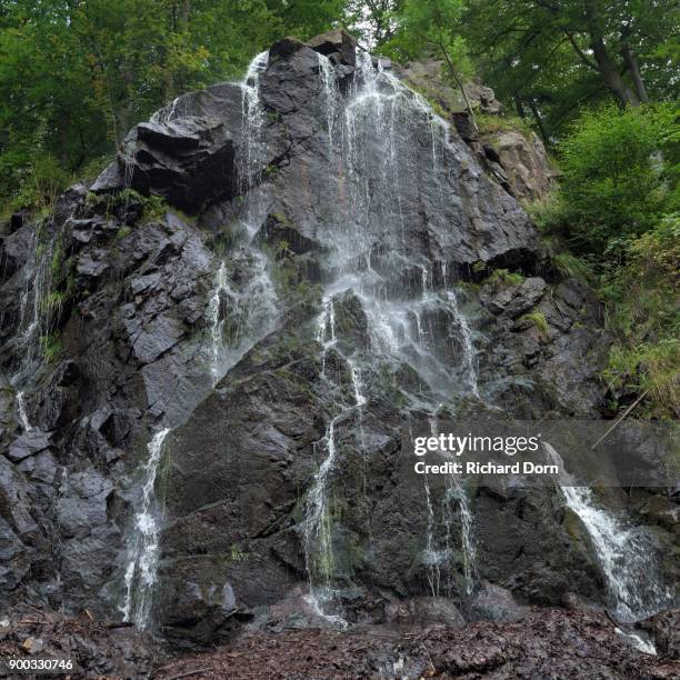 ramsauer wasserfall, bad harzburg, harz, lower saxony, germany - wasserfall stock pictures, royalty-free photos & images