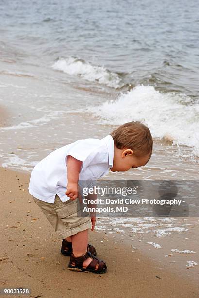 little guy at the beach - stevensville fotografías e imágenes de stock