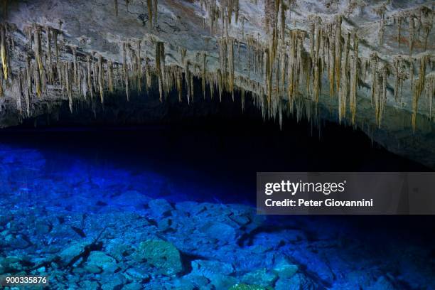 stalactite cave with blue lake, gruta do lago azul, near bonito, matto grosso do sul, brazil - gruta stock pictures, royalty-free photos & images