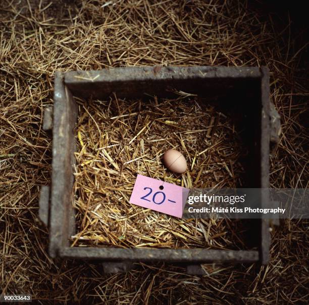Egg With Price High-Res Stock Photo