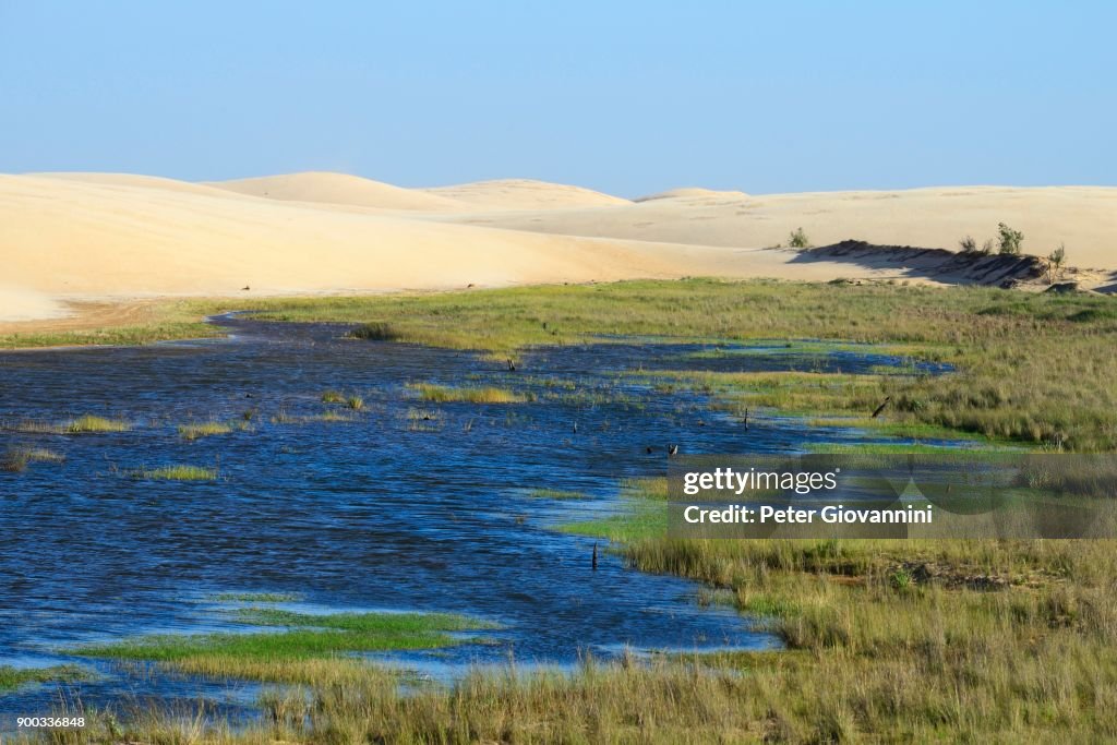Shifting sand dunes and groundwater lake, Parque Regional Lomas de Arena, Santa Cruz, Santa Cruz, Bolivia