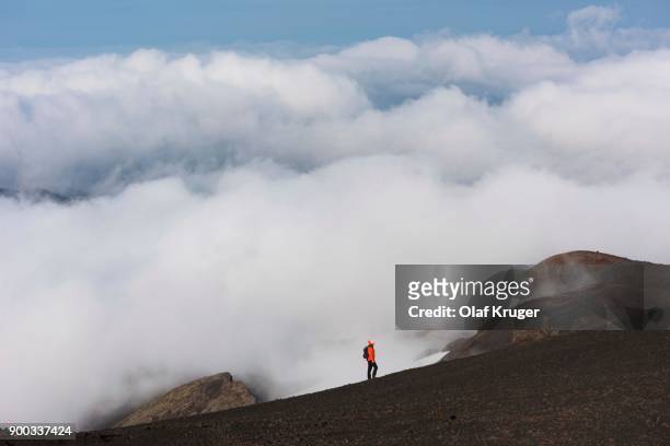 hiker on lava field, summit region, volcano hekla, south iceland, iceland - lava plain stock pictures, royalty-free photos & images