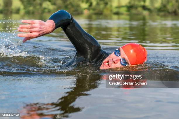 man, 39 years old, wearing a wetsuit, swimming in the lake, aichstruter stausee, baden-wuerttemberg, germany - stausee stock pictures, royalty-free photos & images