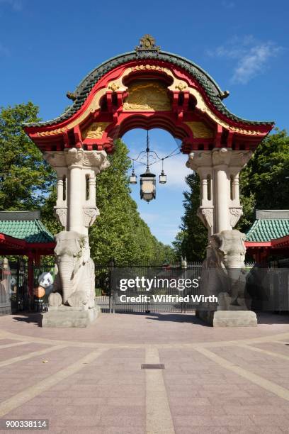 entrance elephant gate, zoological garden, tiergarten, berlin - berlin zoo stock-fotos und bilder