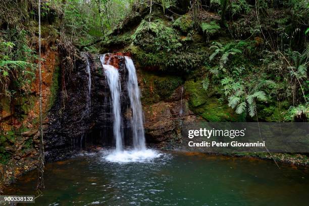 waterfall salto kanymby, organic reserve tati yupi, hernandarias, alto parana, paraguay - salto alto stock pictures, royalty-free photos & images