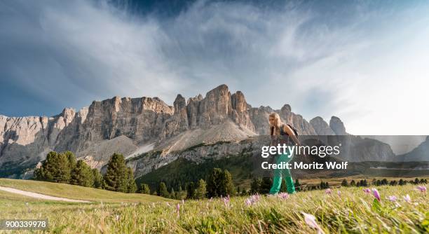 hiker in front of sella group with piscadu, gardena pass, passo gardena, nature park park puez-geisler, dolomites, selva di val gardena, south tyrol, trentino-alto adige, italy - gardena stock-fotos und bilder