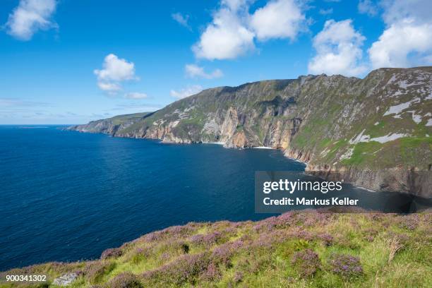 slieve leagues highest cliffs, slieve league, county donegal, ireland - slieve league donegal stock pictures, royalty-free photos & images