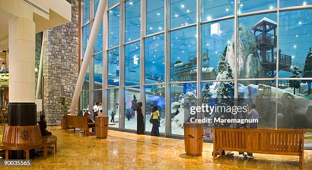 mall of emirates, ski dubai - ski dubai stock pictures, royalty-free photos & images