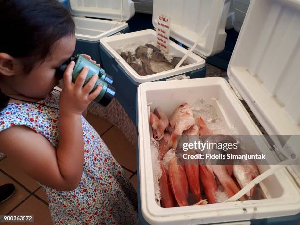 young girl examine lot of fish in the box using binocular - ice bucket stock-fotos und bilder