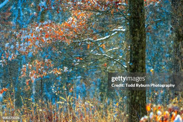 snowy day - rural illinois stock pictures, royalty-free photos & images