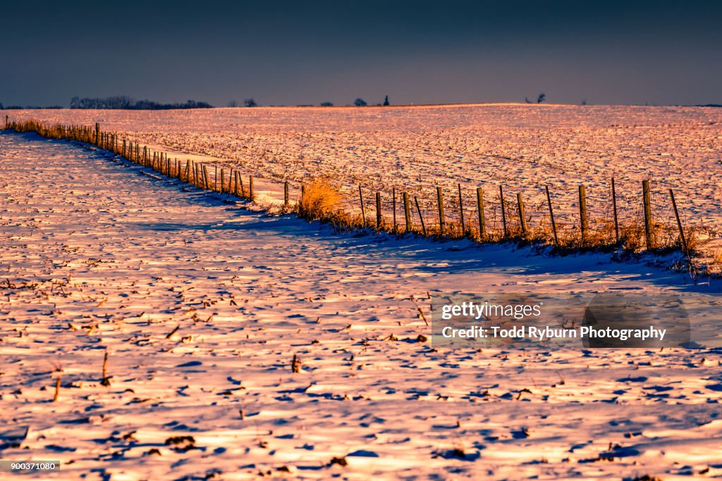 Snow on the Farm