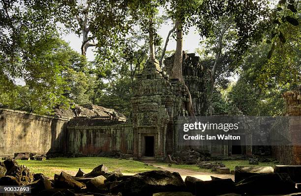 The Ta Prohm temple in the Angkor Archeological Park on December 4, 2008 in Siem Reap, Cambodia.