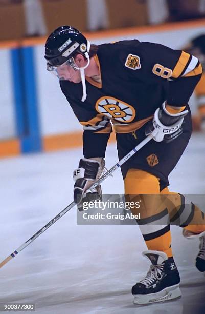 Cam Neely of the Boston Bruins skates against the Toronto Maple Leafs during NHL game action on November 24, 1986 at Maple Leaf Gardens in Toronto,...