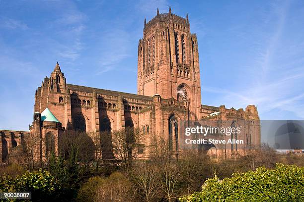 liverpool - liverpool cathedral stock pictures, royalty-free photos & images