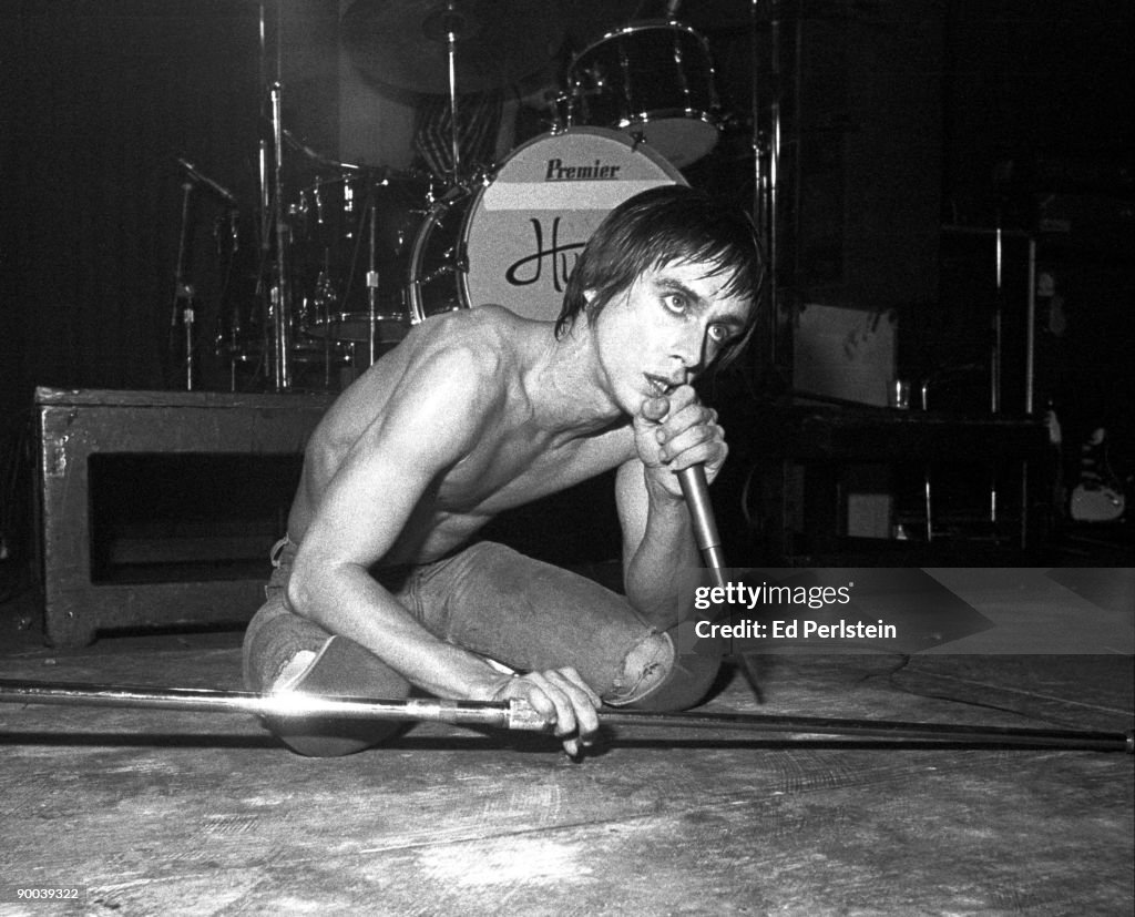 Iggy Pop Live