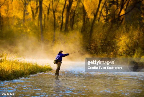 male fly fisherman casting on the river. - pêcheur photos et images de collection