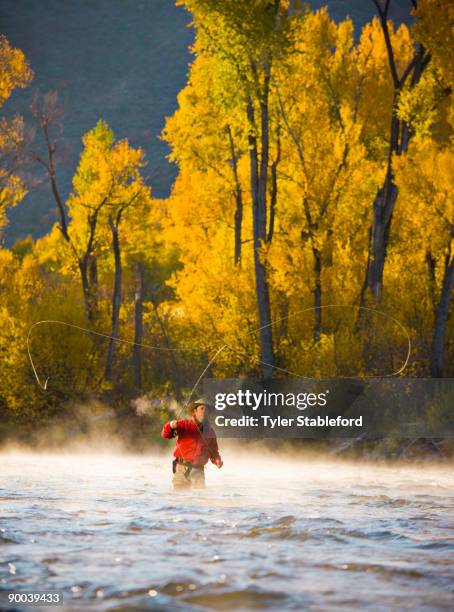 male fly fisherman casting on a river in the fall. - carbondale colorado bildbanksfoton och bilder