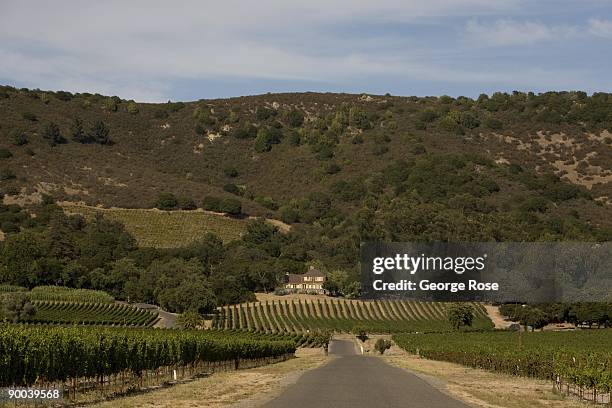 The driveway to Gundlach Bundschu Winery is seen in this 2009 Sonoma, Sonoma Valley, California, early morning summer photo.