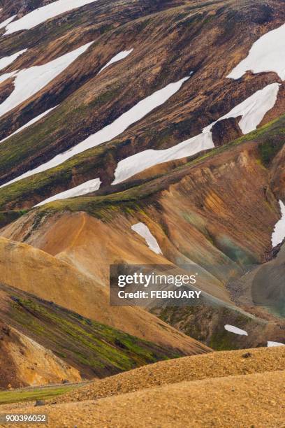 landscape of landmannalaugar - dierenchip stockfoto's en -beelden