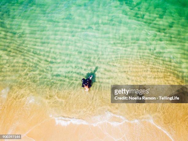 aerial view of a man floating with a toucan on the sea - port stephens stock pictures, royalty-free photos & images