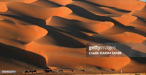 Emirati men walks with camels across the Liwa desert, some 250 kilometres west of the Gulf emirate of Abu Dhabi, during the Liwa 2018 Moreeb Dune...