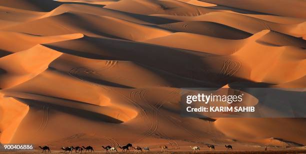 An Emirati man walks with camels across the Liwa desert, some 250 kilometres west of the Gulf emirate of Abu Dhabi, during the Liwa 2018 Moreeb Dune...