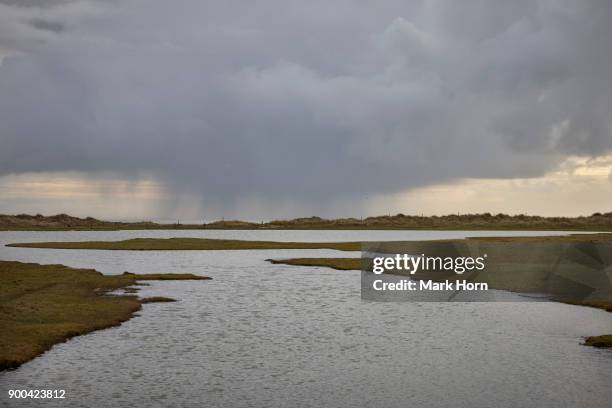 wetlands on terschelling, west frisian islands, netherlands - terschelling stock-fotos und bilder