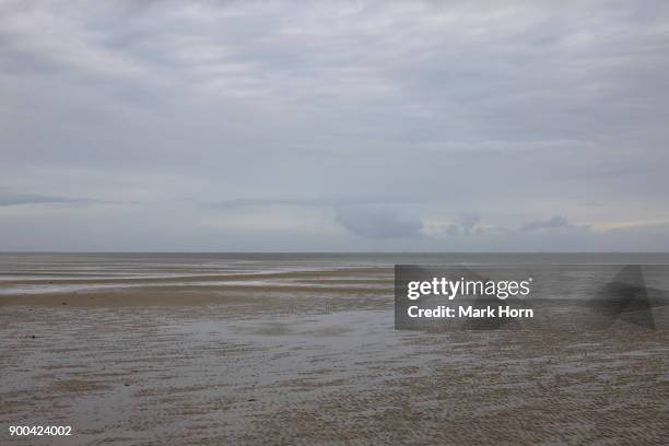 tidal flats and sky on terschelling, west frisian islands, netherlands - terschelling stock-fotos und bilder